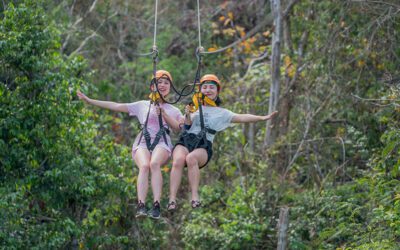 Angkor Zipline