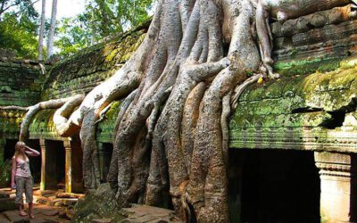 Siem Reap Angkor 4 Days Tour