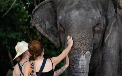 Awesome Phnom Penh & Siem Reap 9 Days Tour