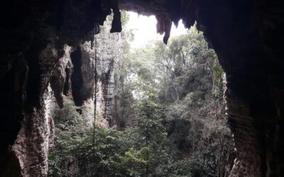 Half day Battambang tour