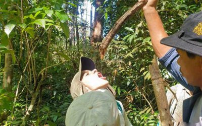 Ratanakiri Rafting Adventure Trek 3-day