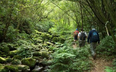 Sihanoukville Remote Jungle Trekking Full day