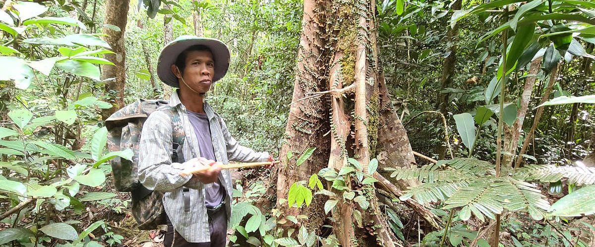 Sihanoukville-Remote-Jungles
